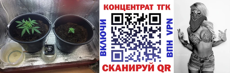 Купить где Мурино ТГК гашишное масло
